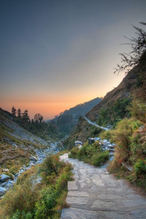 Walking On These Trails In India Is Better Than A Walk In The Clouds A Walk In The Clouds, India Places, Historical Temples, Backpacking Destinations, Dharamsala, Going Abroad, Travel India, Himachal Pradesh, Dalai Lama