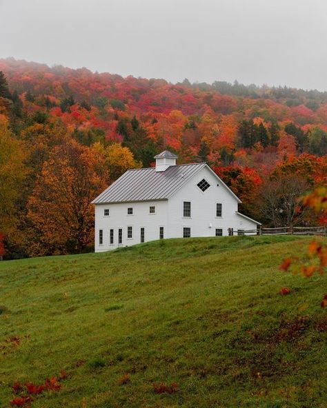 Vermont Countryside, Vermont Homes, Vermont House, Vermont Farmhouse, Vermont In The Fall, Vermont Aesthetic, Vermont Foliage, Vermont Farms, Burlington Vermont