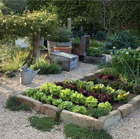 Mediterranean Garden Design, Mediterranean Landscaping, Potager Garden, Flower Garden Design, Veg Garden, Mediterranean Garden, Vegetable Garden Design, Garden Lovers, Veggie Garden