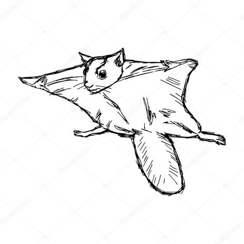 Flying Squirrel Tattoo, Squirrel Drawing Easy, Flying Squirrel Drawing, Squirrel Drawing, Chest Tattoo Drawings, Squirrel Tattoo, Hush Puppy, Draw Doodles, Flying Squirrel