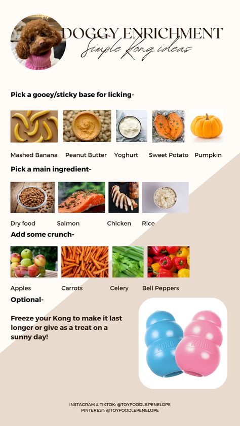 Simple ways to fill a Kong- Dog enrichment #inkpixi #personalizedgifts #pets #dogs #dog #food #fruits #vegetables #pets #safe. Find out more here 👉 https://medium.com/p/d0c0192acd76/?food Kong Filling Ideas, Kong Recipe, Whelping Puppies, Diet Healthy Food, Pet Treats Recipes, Food For Dogs, Dog Remedies, Healthy Dog Treats Homemade, Puppy Teething