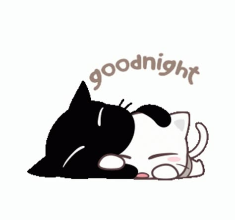 Sleeping Good Night GIF - Sleeping GoodNight BlackCat - Discover & Share GIFs Cutie Cat-chan, Cuddling Gif, Two Cute Cats, Cat Animated, Good Night Cat, Cat Emoji, Chibi Cat, Night Gif, Cute Good Night