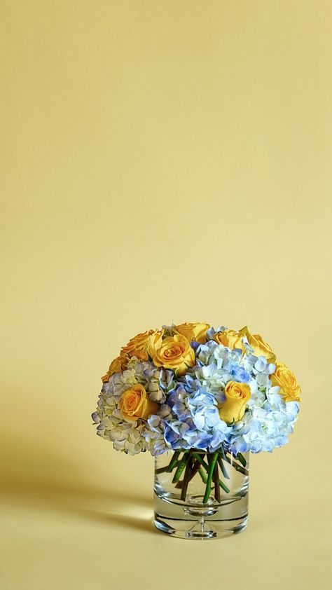 “Happy” This beautiful arrangement of blue hydrangea and yellow roses just totally make me happy...thus the title! The colors are perfectly complementary and will brighten any wall! Link in bio for full details! Hydrangea Yellow, Yellow Wall, Yellow Walls, Blue Hydrangea, Yellow Roses, Make Me Happy, Hydrangea, Blue Yellow, Baby Blue