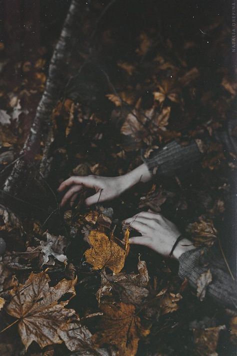 Over The Garden Wall, Southern Gothic, Witch Aesthetic, Dark Photography, Autumn Aesthetic, Samhain, On The Ground, Writing Inspiration, Garden Wall