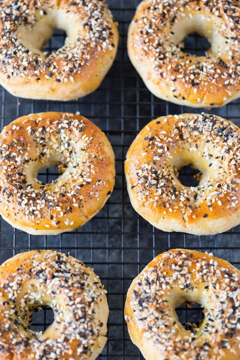 Paleo Everything Bagels {Grain-Free & Gluten Free} | Simple Healthy Kitchen Bagel Recipes, Whole Wheat Bagel, Gluten Free Bagels, New York Bagel, Homemade Breads, Paleo Bread, Paleo Baking, Homemade Bagels, Bagel Shop