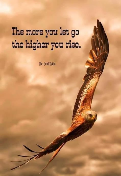 Native American Quotes Wisdom, Get Busy Living, Eckart Tolle, Native American Wisdom, Native American Quotes, Awakening Quotes, Dalai Lama, Lesson Quotes, Life Lesson Quotes