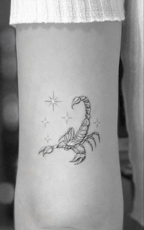 Girly Scorpio Tattoo Ideas, Small Fine Line Tattoo, Scorpion Tattoo Feminine, Scorpio Tattoos, Scorpion Tattoos, Scorpio Zodiac Tattoos, Best Cover Up Tattoos, Scorpio Tattoo, Tattoo Prices