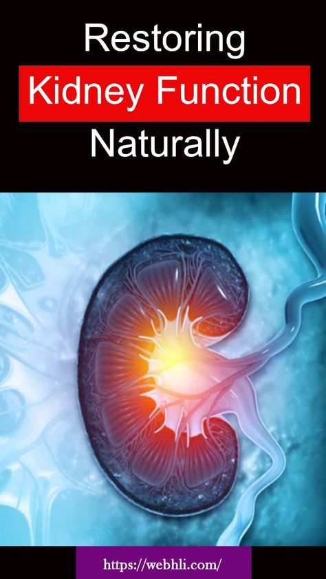 Restoring Kidney Function Naturally Kidney Repair Natural, Liver And Kidney Health, Improve Kidney Function Natural, Flush Kidneys Out, Best Foods For Kidneys, Kidney Care Tips, Healing Kidneys Naturally, Heal Kidneys Naturally, How To Flush Your Kidneys