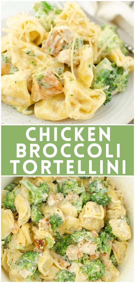 Cheesy Chicken Broccoli Tortellini | Recipe in 2022 | Pasta dinner recipes, Tortellini recipes, Health dinner recipes Chicken Broccoli Tortellini, Broccoli Tortellini, Cheesy Chicken Broccoli, Tortellini Recipes, Chicken Healthy, Dinner Recipes For Family, Salad Pasta, Pasta Dinner Recipes, Dinner Healthy