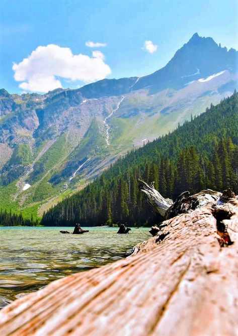 Avalanche Lake, Montana, USA Avalanche Lake Montana, Avalanche Lake, Lake Montana, Montana Usa, Montana, Lake