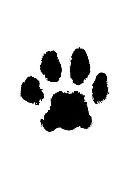 Wolf Paw Print, Jersey Ideas, Dog Paw Tattoo, Wolf Paw, Tattoo Wrist, Paw Tattoo, Tattoo Design Book, Design Book, Dog Drawing