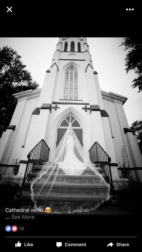 My Love Photo, Church Wedding Photography, Blue Sky Photography, Church Pictures, Bridal Pictures, Cathedral Veil, Mansion Wedding, Bridal Photography, Church Wedding