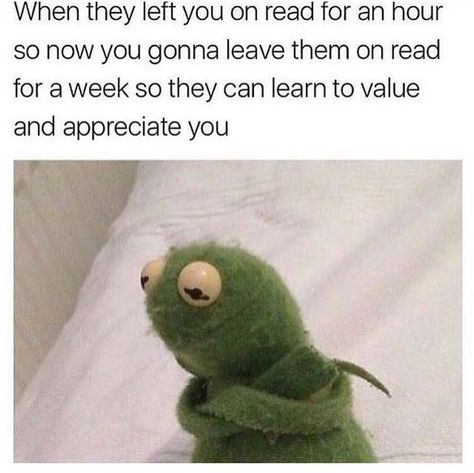 Funny Kermit Memes, Kermit Memes, Karma Funny, Kermit Funny, Hilarious Memes, Funny Relatable Quotes, Interesting Stuff, Really Funny Memes, Funny Tweets