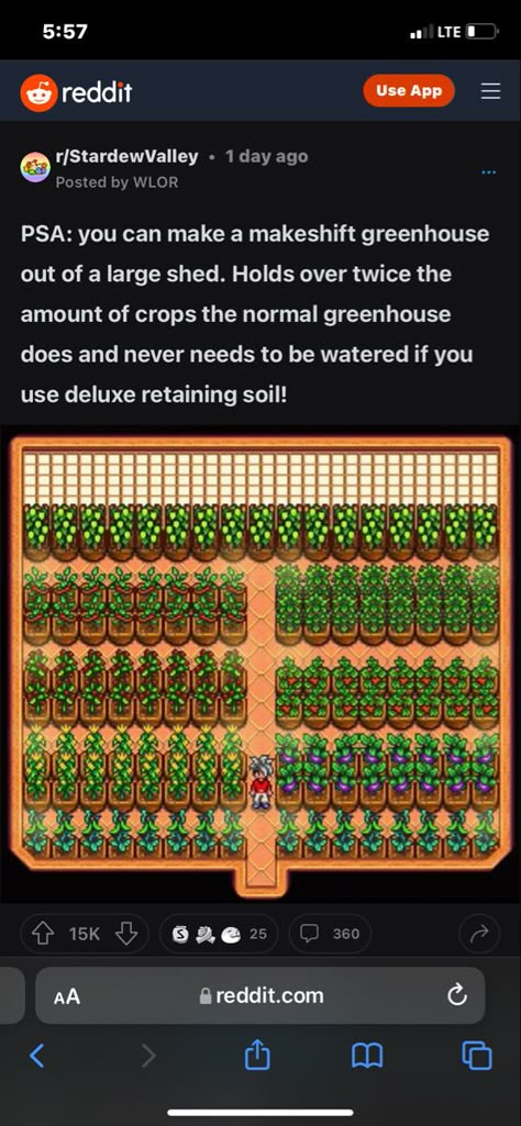 Best Crops Stardew Valley, Stardew Valley Money Crops, Last Day To Plant Stardew, Stardew Valley Automate, Stardew Valley Small Farm, Stardew Valley 1.6 Tips, Stardew Valley Heart Events, Stardew Valley Tree Tapping Layout, Stardew Valley Hidden Secrets