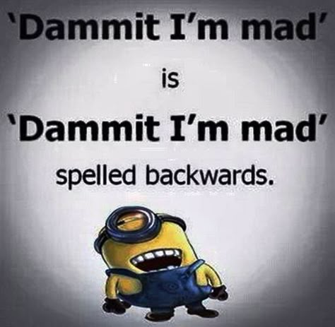 Minion Humour, Funny Minion Pictures, Funny Minion Memes, Minion Jokes, Behind Blue Eyes, A Minion, Funny Quotes Sarcasm, Funny Minion Quotes, Minion Quotes