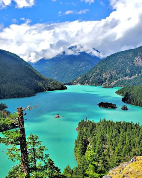 Diablo Lake, North Cascades National Park In Washington, USA!!! Cascades National Park Washington, Diablo Lake, Cascades National Park, Pacific Northwest Travel, Cascade National Park, Washington Travel, North Cascades National Park, Scenic Photos, Washington Usa