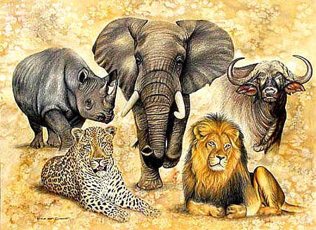 Big Five Animals Drawings, Big 5 Animals Drawings, Big Five Animals Art, Big Five Tattoo, African Animal Drawings, Animals Wild Amazing Photos, The Big Five Animals, Big 5 Animals, Big Five Animals