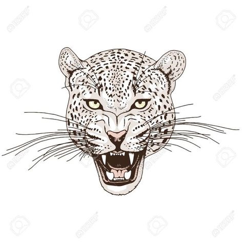 Face Butterfly Tattoo, Leopard Face Tattoo, Snow Leopard Tattoo, Face Butterfly, Leopard Print Tattoos, Jaguar Tattoo, Leopard Tattoos, Panther Tattoo, Tattoo Vector