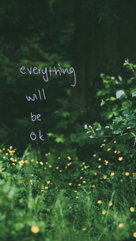 Everything will be ok It Will Be Ok Quotes, Chasing Fireflies, Everything Will Be Ok, Happy Things, Magical Forest, Firefly, Nature Photos, Digital Photography, Secret Garden