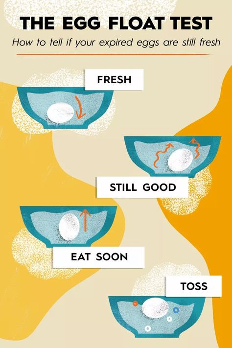 How to Tell if Eggs are Bad: 3 Simple Methods Egg Test For Freshness, Egg Float Test, Egg Test, Prevent Food Waste, Bad Eggs, 30 Minute Dinners, New Years Traditions, Homemade Noodles, Gardening Trends