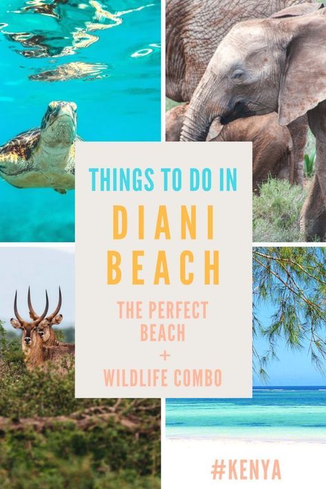 Beach Itinerary, Diani Beach Kenya, Diani Beach, Africa Travel Guide, Single Travel, Kenya Travel, Kenya Safari, African Travel, Africa Destinations