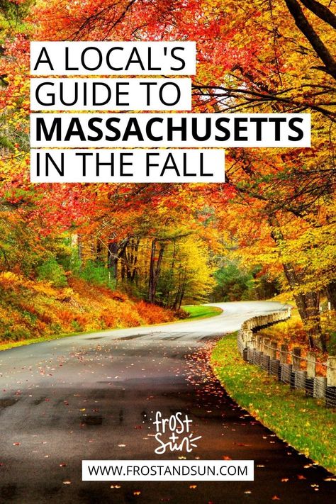 Fall Foliage In Massachusetts, Fall Day Trips From Boston, Places To See In Massachusetts, Boston Fall Foliage, Visiting Boston In The Fall, Massachusetts Fall Road Trip, Massachusetts In The Fall, Fall In Massachusetts, Things To Do In Massachusetts Fall