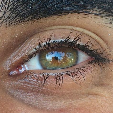 @𝘴𝘶𝘯𝘯𝘺𝘳𝘩𝘢𝘱𝘴𝘰𝘥𝘺 Eye Lens Colour, Hazel Green Eyes, Beautiful Eyes Color, Eye Photography, Aesthetic Eyes, Human Eye, Contact Lenses Colored, Hazel Eyes, Pretty Eyes