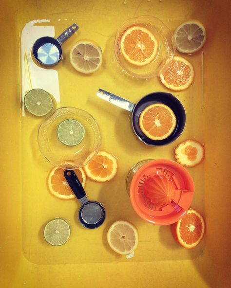 Sensory experience with sliced lemons, oranges and limes. Juicers and scoops encourage fine motor practice and imagination play as well. Orange Sensory Play, Citrus Sensory Bin, Citrus Sensory Play, Baby Room Activities, Summer Sensory, Water Play For Kids, Theme Jungle, Preschool Letter Crafts, Fine Motor Practice