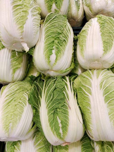 Korean Cabbage, Napa Cabbage Slaw, Cabbage Plant, Cabbage Patch Babies, Cabbage Seeds, Cabbage Soup Diet, Fermented Vegetables, Soup Diet, Seed Pack