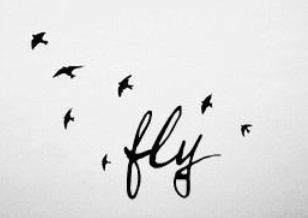 Fly Fly High Tattoo Ideas, May Fly Tattoo, Learn To Fly Tattoo, She Taught Me To Fly Tattoo, If I Could Fly Tattoo, Rib Tattoo, Redecorate Bedroom, Piercings, Tattoos