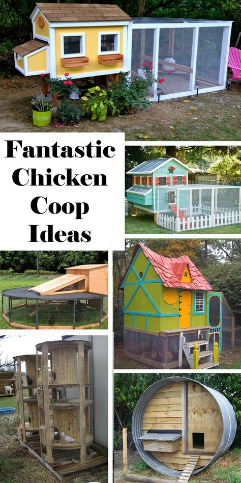 Reban Ayam, Chicken Coop Ideas, Urban Chicken Farming, Cute Chicken Coops, Portable Chicken Coop, Backyard Chicken Coop Plans, Diy Chicken Coop Plans, Urban Chickens, Coop Ideas