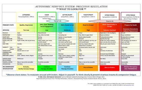 SOMATIC TRAUMA THERAPY Somatic Regulation, Systemic Therapy, Polyvagal Theory, Manual Therapy, Random Knowledge, Therapy Website, Autonomic Nervous System, Group Ideas, Clear Thinking