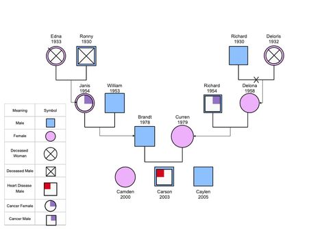 A Family Genogram is a visual representation of an individual's family history and relationships. This template provides a comprehensive overview of the family structure, including members' names, births, genders, health conditions and relationships to each other. It can be used as a powerful visual tool for understanding an individual's family history and relationships. Family Genogram, Family Structure, Visual Representation, Health Conditions, Family History, History, Health, Quick Saves