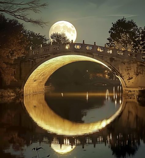 Moon Bridge, Great Photos, Bridge, Moon