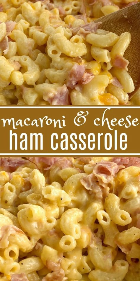 Easy Ham Casserole Recipes For Dinner, Lunch Ham Recipes, Ham And Cheese Noodle Casserole, Filling Casserole Recipes, Chunk Ham Recipes, Leftover Ham Recipes Casseroles Noodles, Macaroni And Cheese Casserole With Meat, Recipes With Ham Steak Meals, Recipes With Ham Lunch Meat