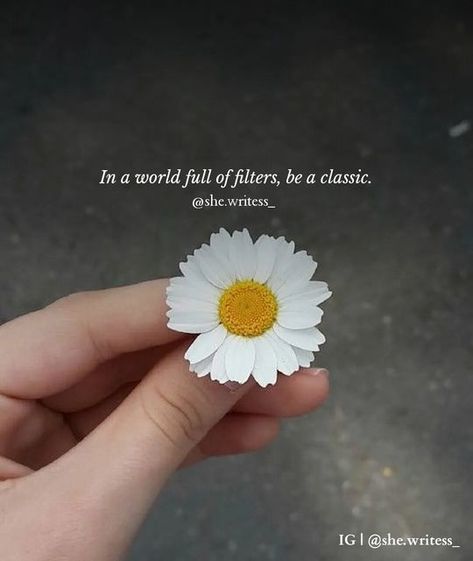 Inspirational Women Quotes, Positive Quotes For Friends, Women Inspirational Quotes, Colorado Nature, Inspirational Quotes For Girls, Happy Quotes Smile, Fantasy Quotes, Soothing Quotes, Energy Quotes