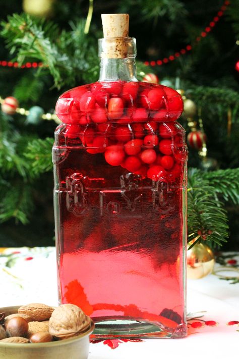 Make Cranberry Infused Gin this Christmas - it tastes delicious in a gin and tonic, and is a fantastic gift for gin lovers! Gin Recipe, Candy Cane Recipe, Infused Liquors, Christmas Gin, Gifts For Gin Lovers, Flavoured Gin, Infused Gin, Tonic Recipe, Gin Recipes