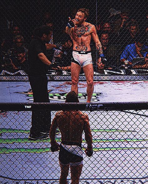 One of the Coldest Pictures in MMA!😮‍💨 @thenotoriousmma | Instagram Ufc Conor Mcgregor, Conor Mcgregor Poster, Cold Pictures, Mike Tyson Boxing, Messi Vs Ronaldo, Boxing Images, Hard Photo, Mma Shin Guards, Ufc Fighters