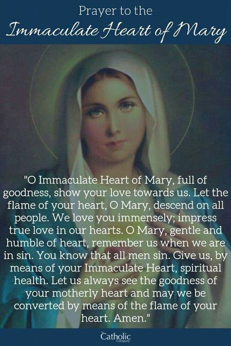 Conception Prayer, Immaculate Conception Prayer, Immaculate Mary, Giving Thanks To God, Catholic Company, Mother Mary Images, Immaculate Heart Of Mary, The Immaculate Conception, Heart Of Mary