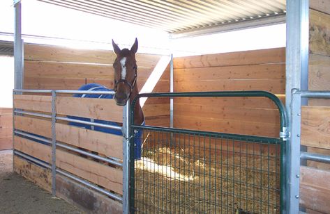 Wood Siding Easy Horse Stalls, Horse Stalls Diy, Small Horse Barns, Horse Farm Ideas, Diy Horse Barn, Horse Barn Ideas Stables, Barn Stalls, Horse Barn Designs, Horse Arena