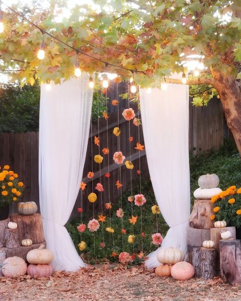 Outdoor Fall Photo Booth Ideas, Outdoor Party Photo Backdrop, Friendsgiving Photo Backdrop Ideas, Harvest Party Photo Booth, Fall Photo Prop Ideas, Outdoor Sweet 16 Party Ideas Fall, Fall Selfie Station, Fall Fest Photo Booth Ideas, October Sweet 16 Party Ideas