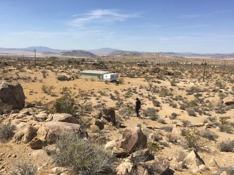 Desert Permaculture Design, Desert Food Forest, High Desert Garden, High Desert Gardening, Deck Greenhouse, Desert Vegetable Garden, Desert Permaculture, Desert Greenhouse, Hobby Farms Layout