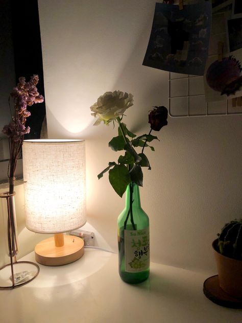 white rose in soju bottle, dried flowers in a tube, valentine’s day, desk Soju Bottle Decoration, Soju Aesthetic, Flower In A Bottle, Flowers In Bottles, Wine Bottle Flowers, Unsaid Thoughts, I Live Alone, Auburn Red, Red Couch