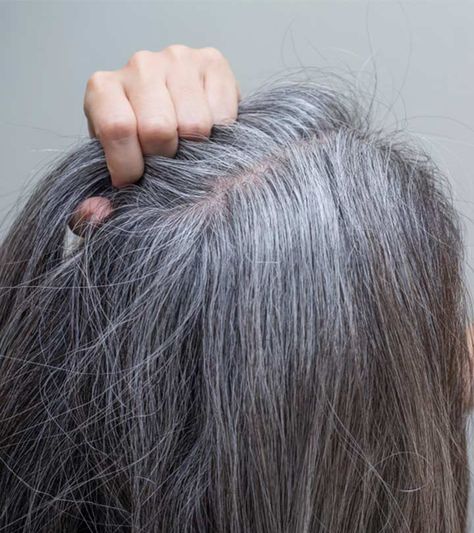 How To Soften Coarse Gray Hair Soften Gray Hair, Grey Hair Home Remedies, Brighten Gray Hair, Gray Hair Solutions, Grey Hair Remedies, Hair Lights, Reverse Gray Hair, Premature Grey Hair, Prevent Grey Hair