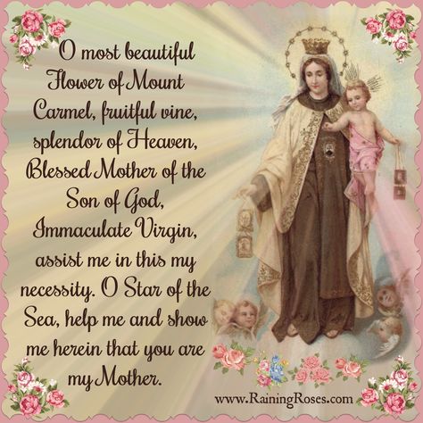 O most beautiful Flower of Mount Carmel, fruitful vine, splendor of Heaven, Blessed Mother of the Son of God, Immaculate Virgin, assist me in this my necessity. O Star of the Sea, help me and show me herein that you are my Mother. Our Lady Of Mt Carmel, Catholic Prayers Daily, Star Of The Sea, Most Beautiful Flower, Mount Carmel, Religious Pictures, Miracle Prayer, Special Prayers, Jesus Prayer