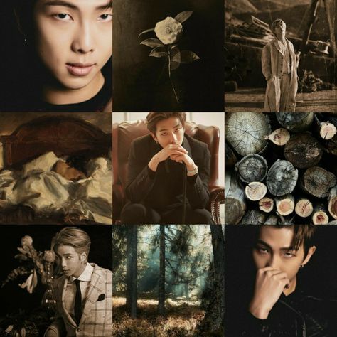 Rm Moodboard, Moodboard Aesthetic Dark, Ava Tele, Dark Academia Wallpaper, Aesthetic Dark Academia, Monster Theme, Moodboard Aesthetic, Academia Wallpaper, Dark Academia Aesthetic