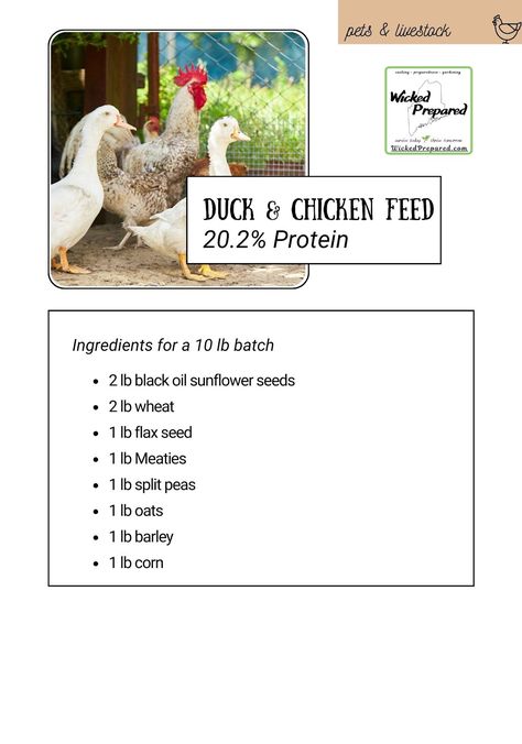 Wicked Prepared, Chicken Feed Diy, Homemade Chicken Feed, Duck Feed, Black Oil Sunflower Seeds, Chicken Farming, Backyard Chicken Farming, Diy Chicken, Chicken Garden