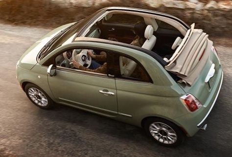 2015 Fiat 500c Pop Convertible Sage Green Fiat 500, Fiat 500c Aesthetic, Small Cars For Women, Mint Green Fiat 500, Fiat Convertible, Fiat 500 Aesthetic, Fiat 500 Convertible, Fiat 500 Colours, Fiat 500 Cabrio