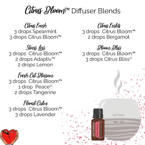 Citrus Bloom Diffuser Blends, Christmas Smells, Essential Oils Diffuser Blends, Doterra Blends, Diy Wax Melts, Doterra Diffuser, Doterra Diffuser Blends, Doterra Essential Oils Recipes, Essential Oil Diffuser Blends Recipes