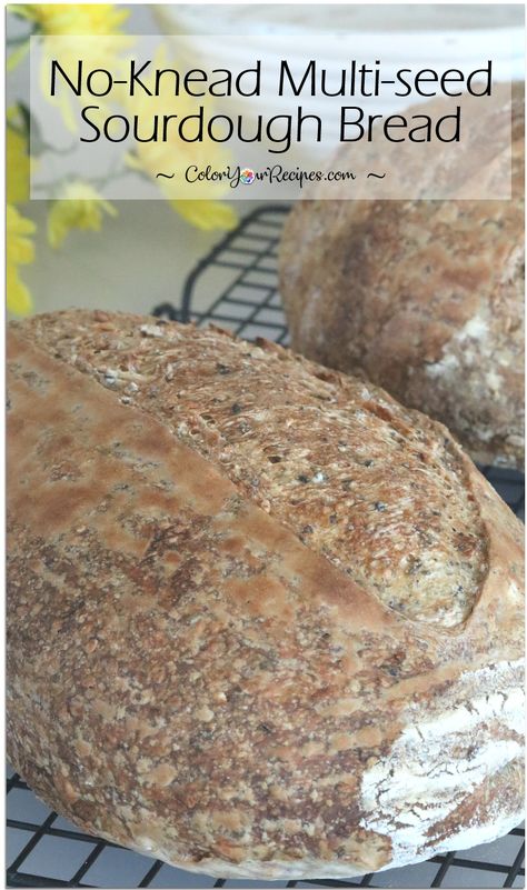 Seed Sourdough Bread, Sourdough Dinner Rolls, Rosemary Bread, Bread Sourdough, Homemade Bread Easy, Sourdough Starter Recipe, Seed Bread, Chocolate Bread, Sourdough Bread Recipe